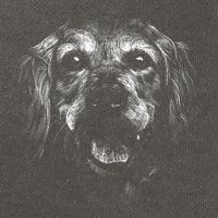 Golden Retriever Dog Cotton Canvas Backpack