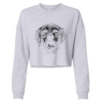 Golden Retriever Dog Cropped Pullover Crew