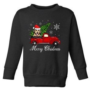 Golden Retriever Dog Riding Red Truck Christmas Decorations Toddler Sweatshirt