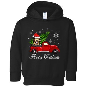 Golden Retriever Dog Riding Red Truck Christmas Decorations Toddler Hoodie