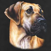 Great Dane Face Cool Comfort Performance Bucket Hat