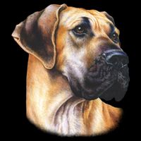 Great Dane Face Doggie Tank