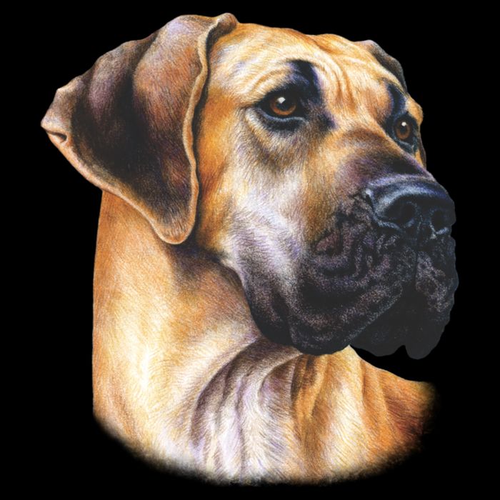 Great Dane Face Doggie Tank