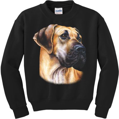 Great Dane Face Kids Sweatshirt