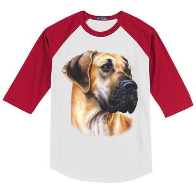 Great Dane Face Kids Colorblock Raglan Jersey