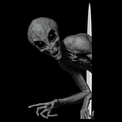 Grey Alien Peaking  Area 51 UFO Abduction T-Shirt