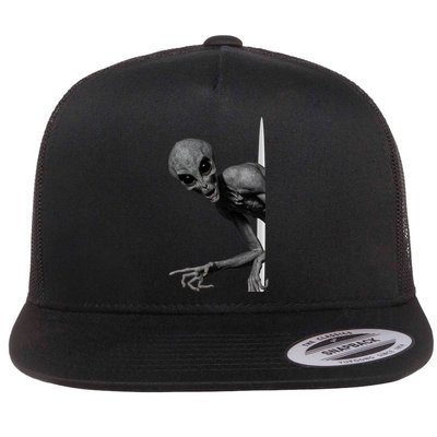 Grey Alien Peaking  Area 51 UFO Abduction Flat Bill Trucker Hat