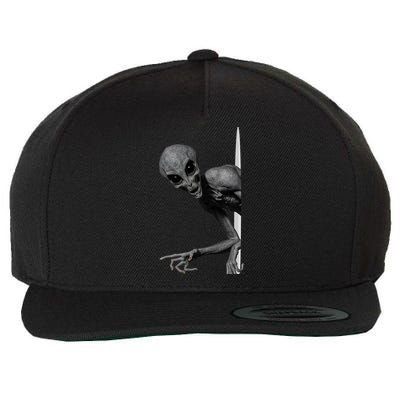 Grey Alien Peaking  Area 51 UFO Abduction Wool Snapback Cap