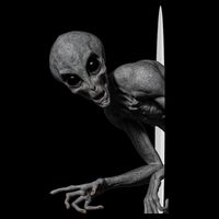 Grey Alien Peaking  Area 51 UFO Abduction Kids T-Shirt