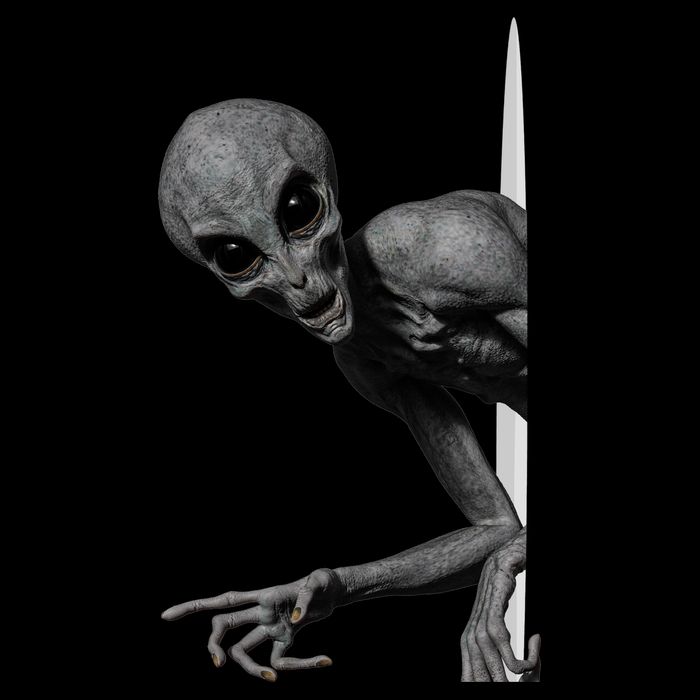 Grey Alien Peaking  Area 51 UFO Abduction Kids T-Shirt