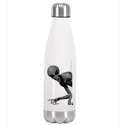 Grey Alien Peaking  Area 51 UFO Abduction Stainless Steel Insulated Water Bottle