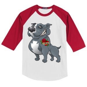 Grey Pitbull I Love Mom Kids Colorblock Raglan Jersey