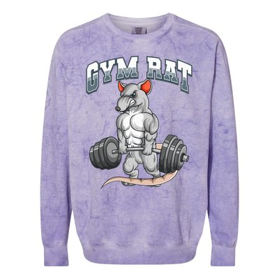 Gym Rat Fitness Bodybuilding Colorblast Crewneck Sweatshirt