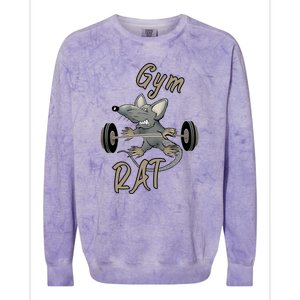 Gym RAT Fitness Barbell Motivational Workout Colorblast Crewneck Sweatshirt