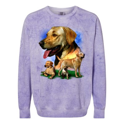 Golden Retriever Family Of Dogs Portrait Colorblast Crewneck Sweatshirt