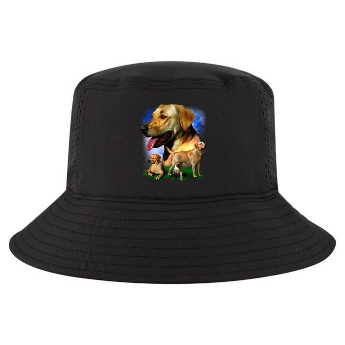 Golden Retriever Family Of Dogs Portrait Cool Comfort Performance Bucket Hat