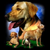 Golden Retriever Family Of Dogs Portrait Flat Bill Trucker Hat