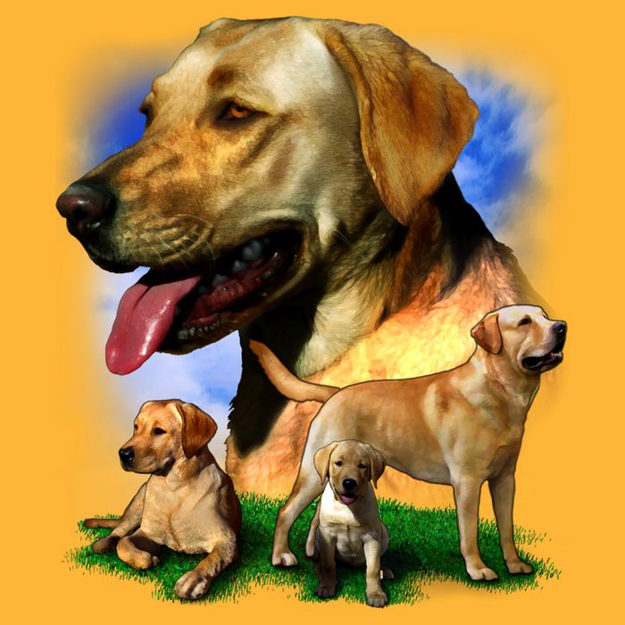 Golden Retriever Family Of Dogs Portrait Cooling Performance Crew T-Shirt