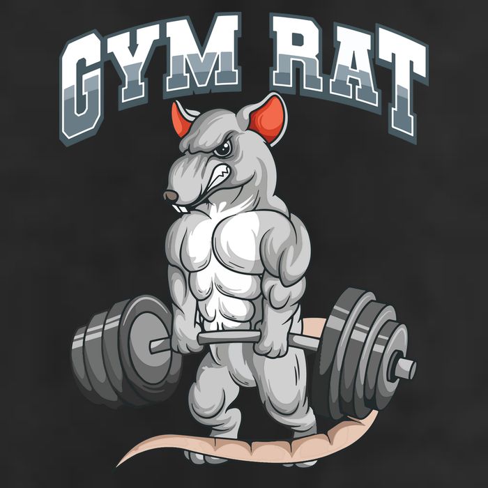 Gym Rat Fitness Bodybuilding 12oz Stainless Steel Coffee Mug