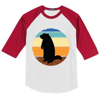 Groundhog Retro Funny Woodchuck Groundhog Day Kids Colorblock Raglan Jersey