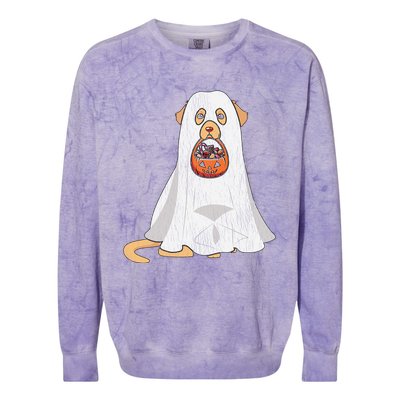 Golden Retriever Ghost Dog Mom Dad Trick Or Treat Halloween Gift Colorblast Crewneck Sweatshirt