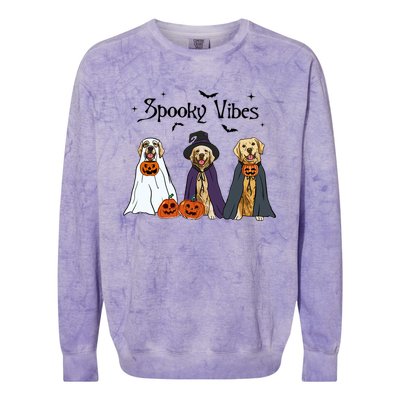 Golden Retriever Ghost Dogs Halloween Dog Witch Spooky Vibes Great Gift Colorblast Crewneck Sweatshirt