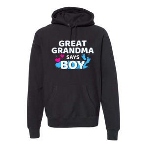 Gender reveal great grandma says matching baby party Premium Hoodie