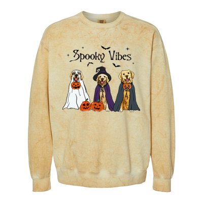 Golden Retriever Ghost Dogs Halloween Dog Witch Spooky Vibes Colorblast Crewneck Sweatshirt