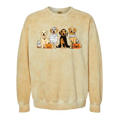 Golden Retriever Ghost Dog Halloween Golden Retriever Witch Vneck Colorblast Crewneck Sweatshirt