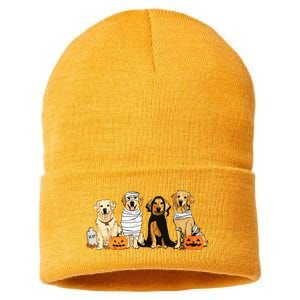 Golden Retriever Ghost Dog Halloween Golden Retriever Witch Vneck Sustainable Knit Beanie