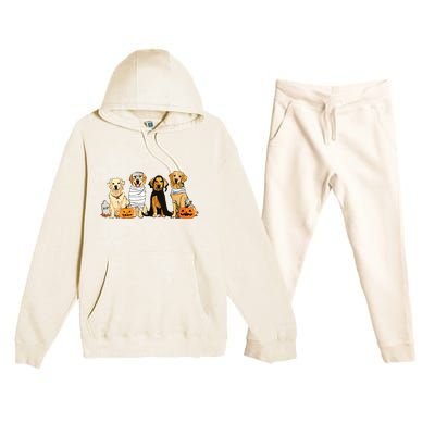 Golden Retriever Ghost Dog Halloween Golden Retriever Witch Vneck Premium Hooded Sweatsuit Set