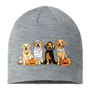 Golden Retriever Ghost Dog Halloween Golden Retriever Witch Vneck Sustainable Beanie