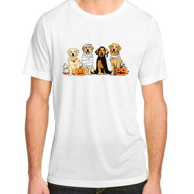 Golden Retriever Ghost Dog Halloween Golden Retriever Witch Vneck Adult ChromaSoft Performance T-Shirt