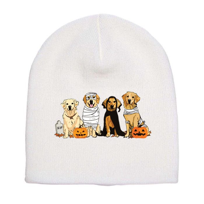 Golden Retriever Ghost Dog Halloween Golden Retriever Witch Vneck Short Acrylic Beanie