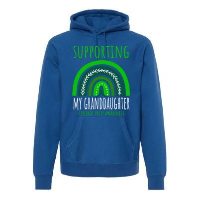 Green Rainbow Grandma Grandpa Granddaughter Cerebral Palsy Meaningful Gift Premium Hoodie