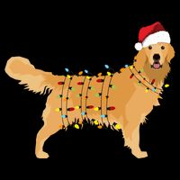 Golden Retriever Holiday Christmas Light Classic Women's V-Neck T-Shirt