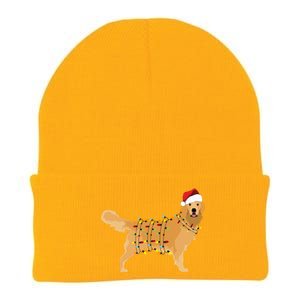 Golden Retriever Holiday Christmas Light Essential Knit Cap Winter Beanie