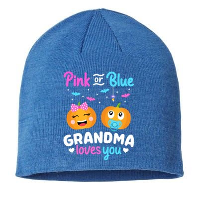 Gender Reveal Halloween Pregnancy Pink Blue Grandma Love Cute Gift Sustainable Beanie