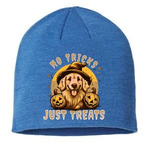 Golden Retriever Halloween No Tricks Just Treats Meaningful Gift Sustainable Beanie