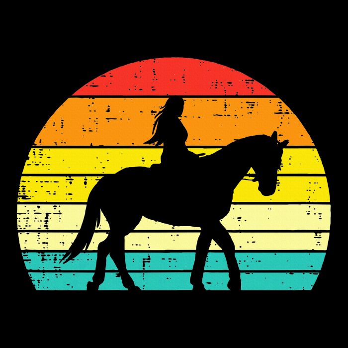 Girl Riding Horse Silhouette Sunset Retro Equestrian Women Premium T-Shirt