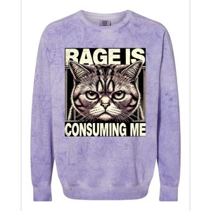 Graphic Rage Is Consuming Me Funny Cat Meme Colorblast Crewneck Sweatshirt