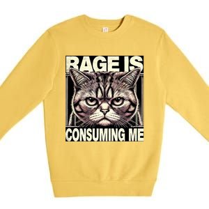 Graphic Rage Is Consuming Me Funny Cat Meme Premium Crewneck Sweatshirt