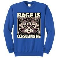 Graphic Rage Is Consuming Me Funny Cat Meme Sweatshirt