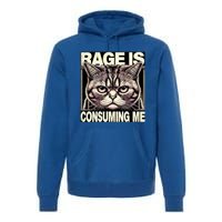 Graphic Rage Is Consuming Me Funny Cat Meme Premium Hoodie