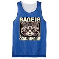 Graphic Rage Is Consuming Me Funny Cat Meme Mesh Reversible Basketball Jersey Tank