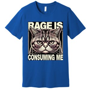 Graphic Rage Is Consuming Me Funny Cat Meme Premium T-Shirt