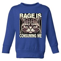 Graphic Rage Is Consuming Me Funny Cat Meme Toddler Sweatshirt