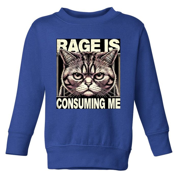 Graphic Rage Is Consuming Me Funny Cat Meme Toddler Sweatshirt