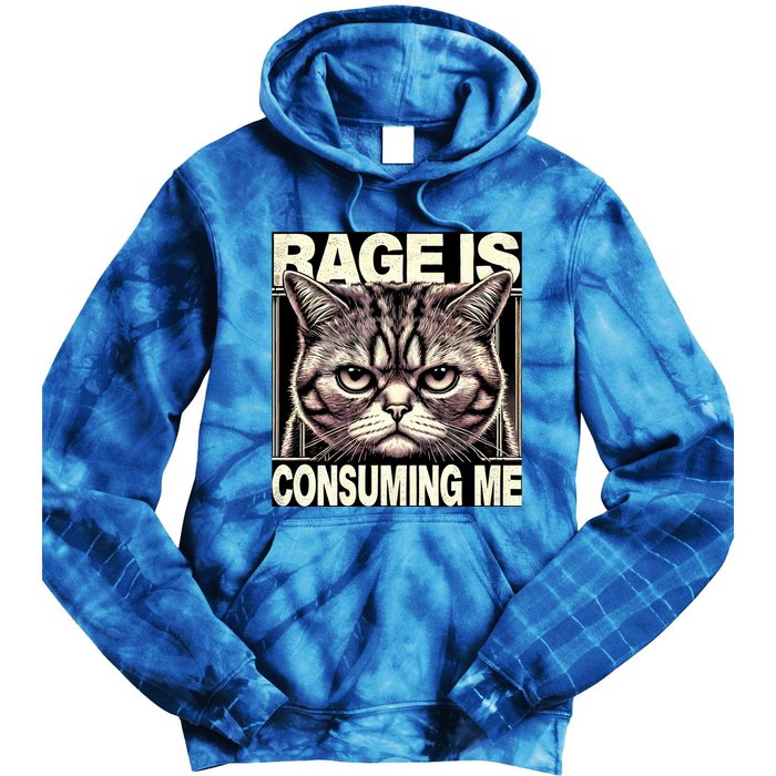 Graphic Rage Is Consuming Me Funny Cat Meme Tie Dye Hoodie