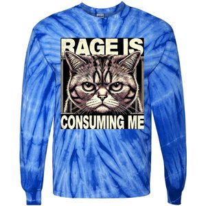 Graphic Rage Is Consuming Me Funny Cat Meme Tie-Dye Long Sleeve Shirt